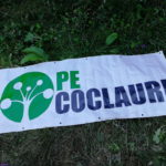 Pe Coclauri, Romania Psy_Trance festival